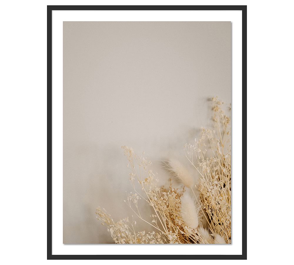 Dried Floral Framed Print By Annie Spratt