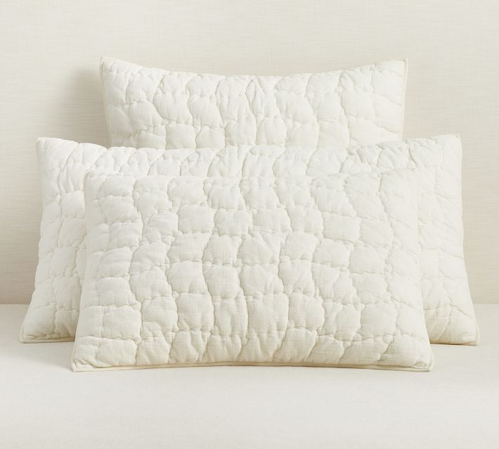 Cozy Cotton Ivory Quilted Sham