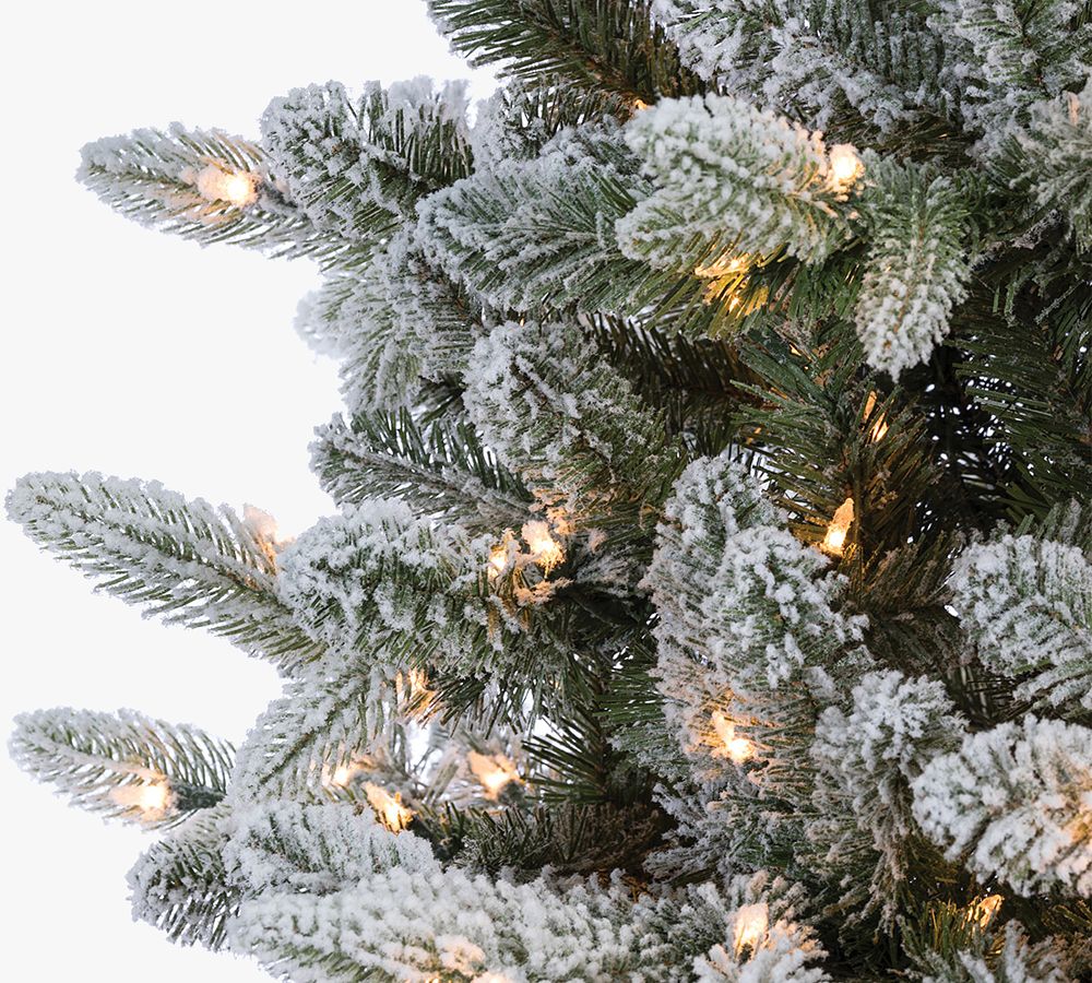 Lit Flocked Mountain Fir Faux Christmas Tree - 7.5 Ft. | Pottery Barn