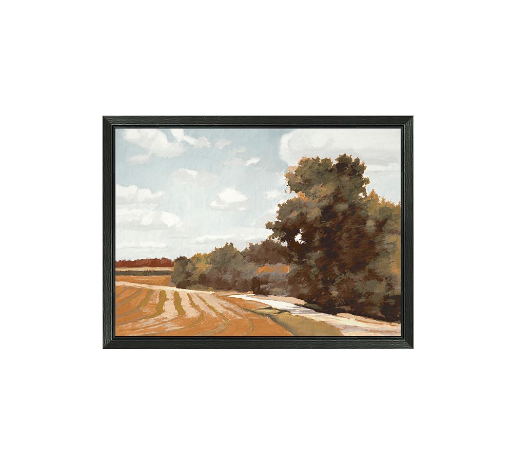 Road Shadow Framed Canvas
