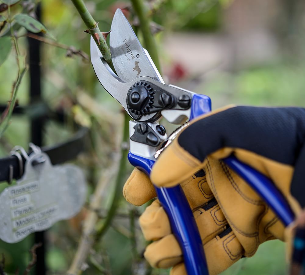 Gardening Shears