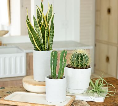 White Small Plant Pot Size M Set of 3 Ceramic Flower Planter for