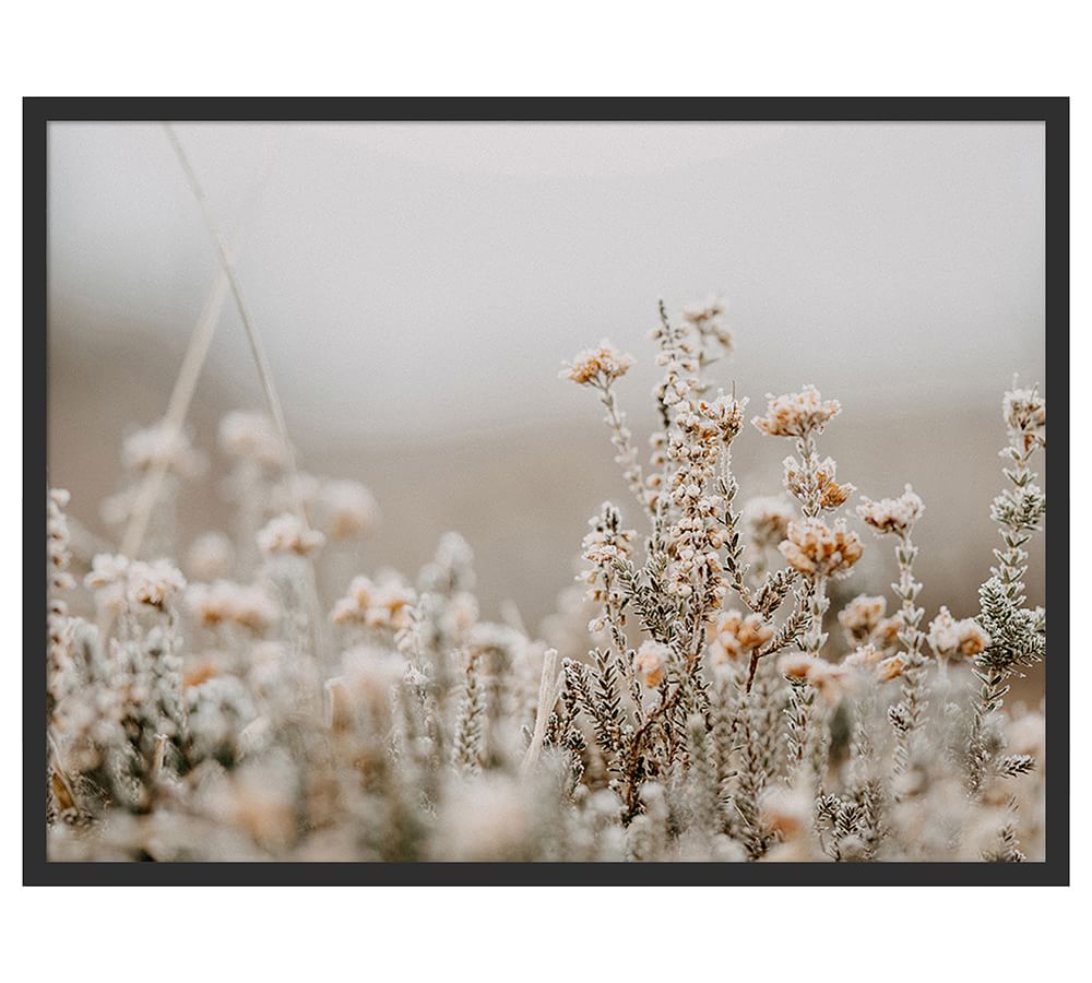 Field Flowers By Annie Spratt