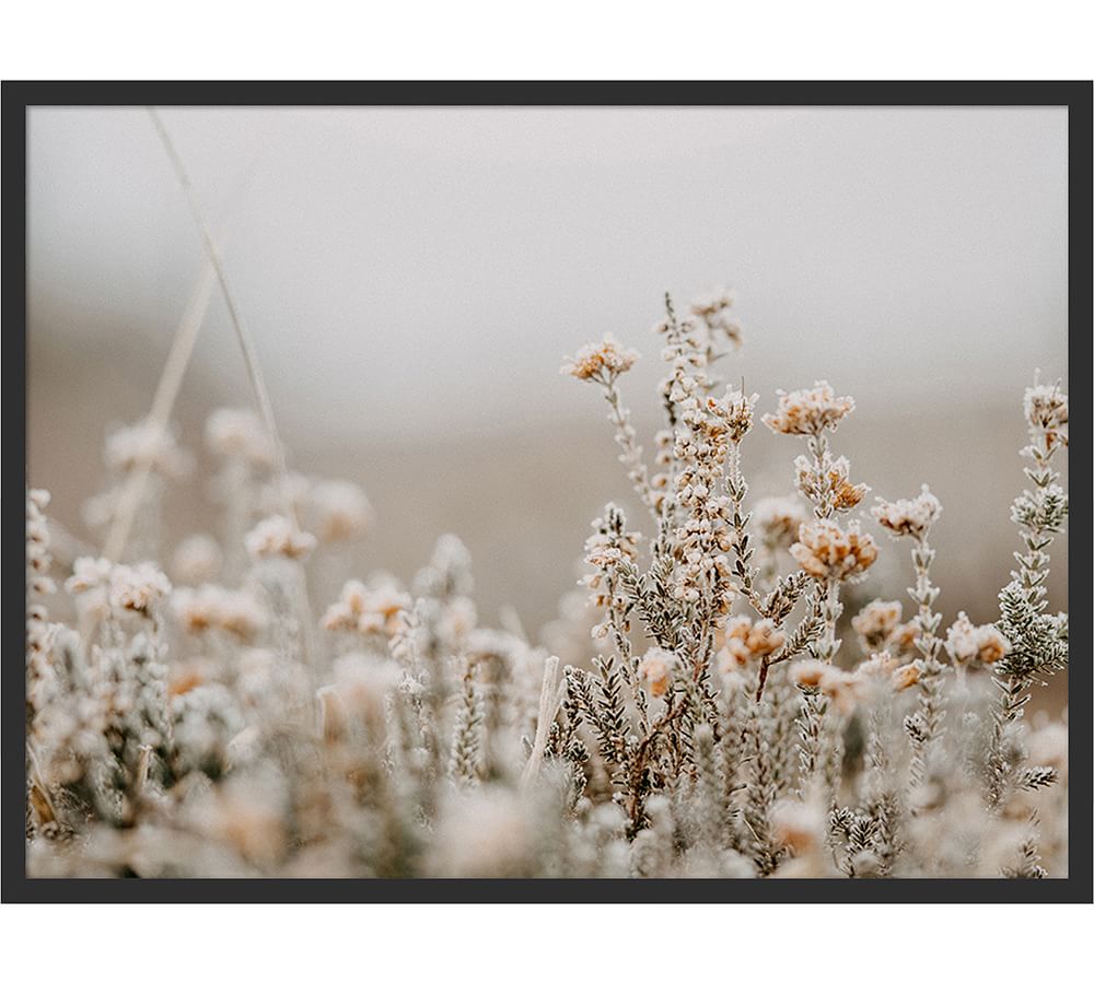 Field Flowers By Annie Spratt