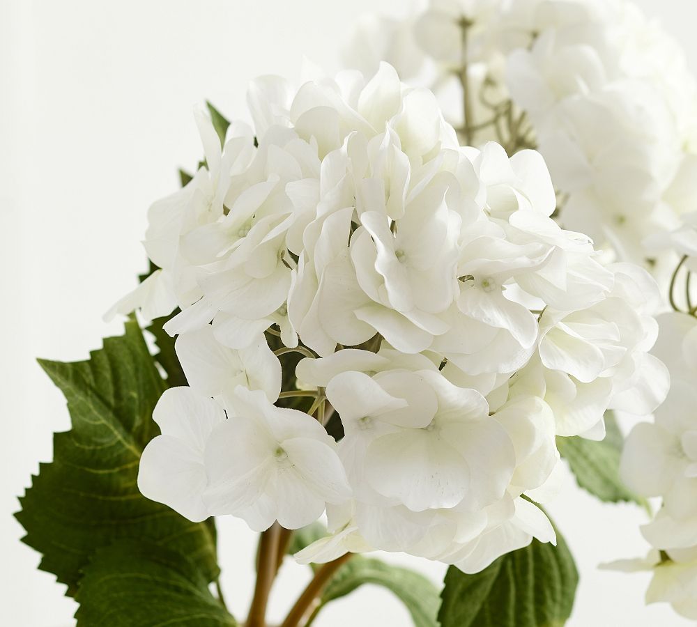 Faux White Hydrangea Bundle Pottery Barn