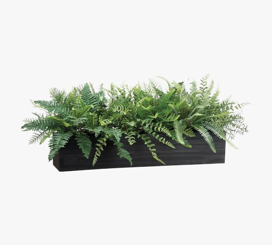 Faux Mixed Fern In Rectangular Planter Pottery Barn