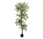 Faux Variegated Ficus Tree | Pottery Barn