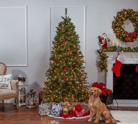 7.5ft Lit Ashland Pine Artificial Christmas Tree Pottery Barn