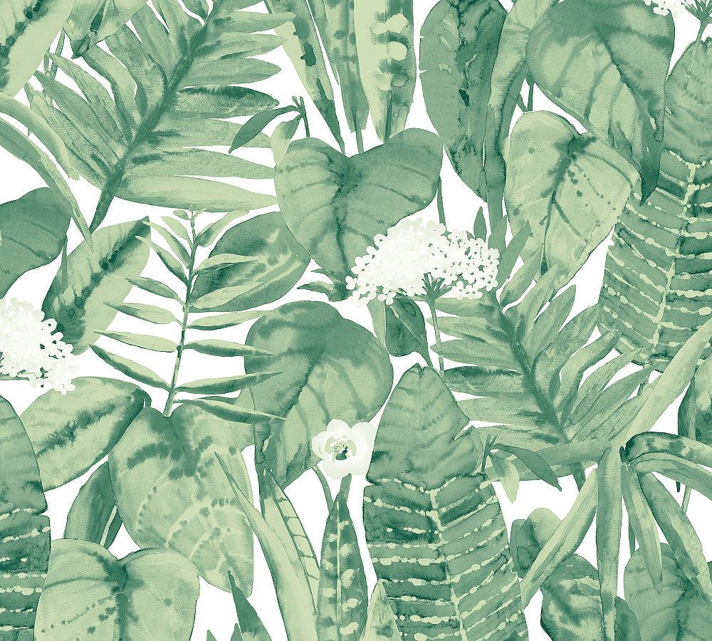 Tropical Jungle Green Leaf Wallpaper Sample - 8&quot;W x 11&quot;L
