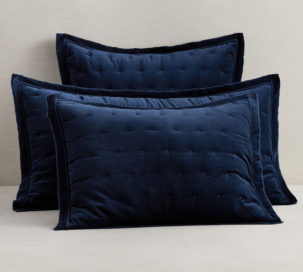 Pottery barn store velvet tufted quilt