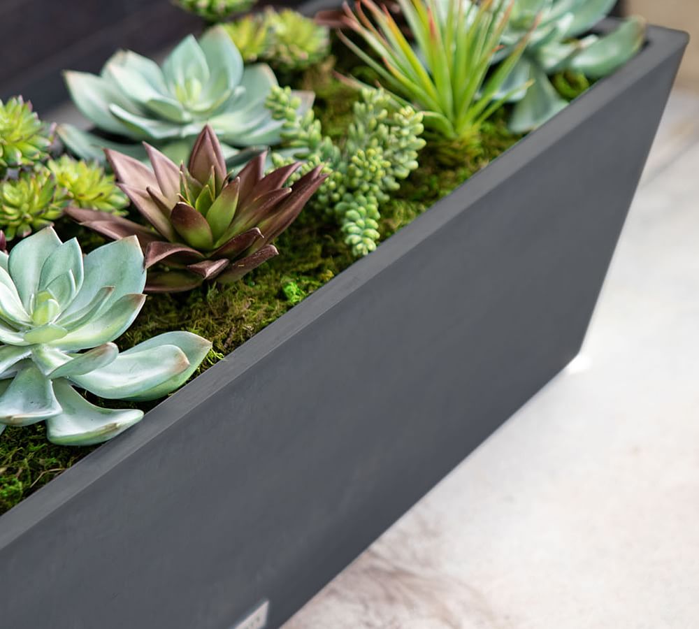 All Weather Eco Hevea Outdoor Window Box Planters Pottery Barn