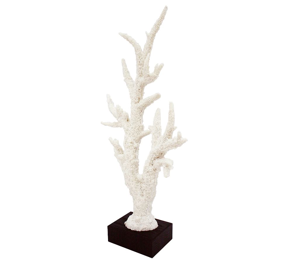 White Staghorn Coral on Black Base