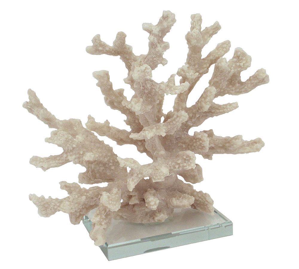 Branching Coral With Clear Glass Base