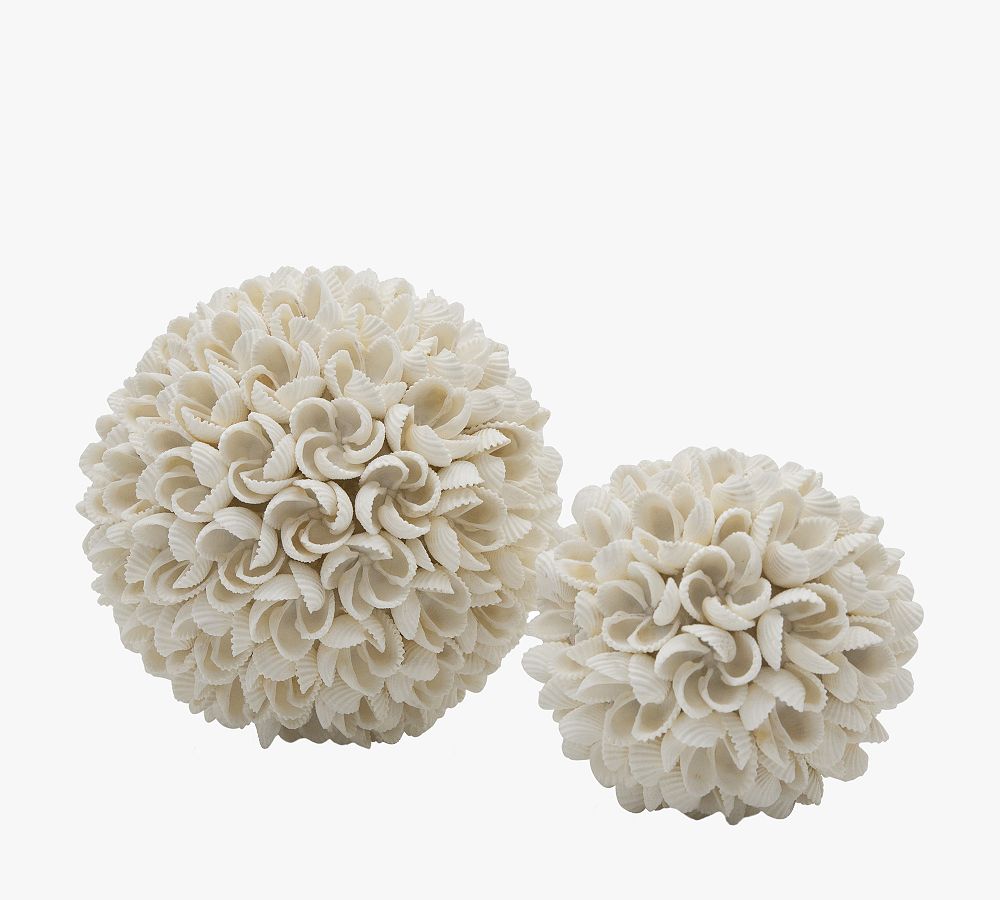 Decorative Seashell Vase Fillers Set of 2 Pottery Barn