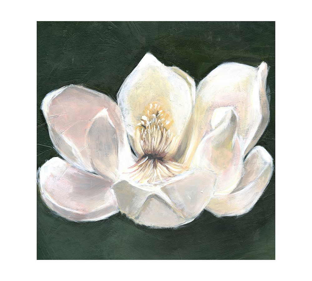 Magnolia Canvas Print | Pottery Barn