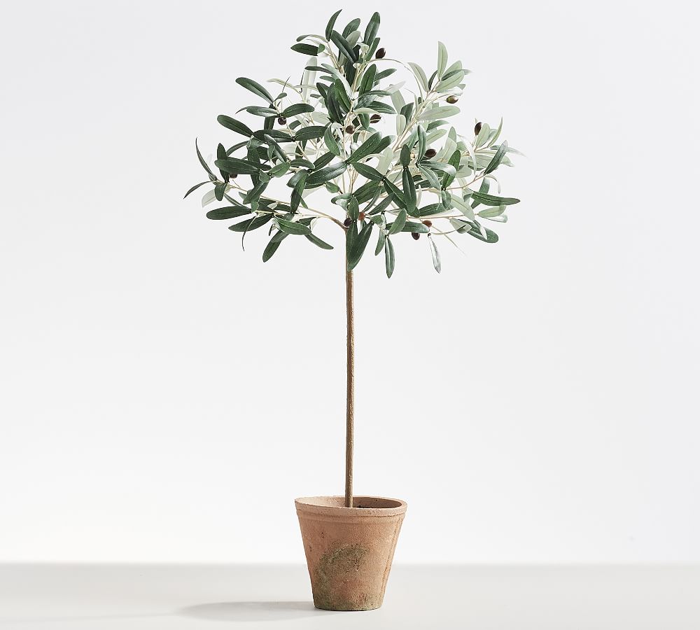 Lark Manor Faux Olive Tree Plant in Pot & Reviews