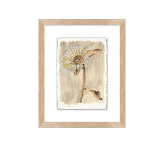 Neutral Daisy Print Wall Art Pottery Barn