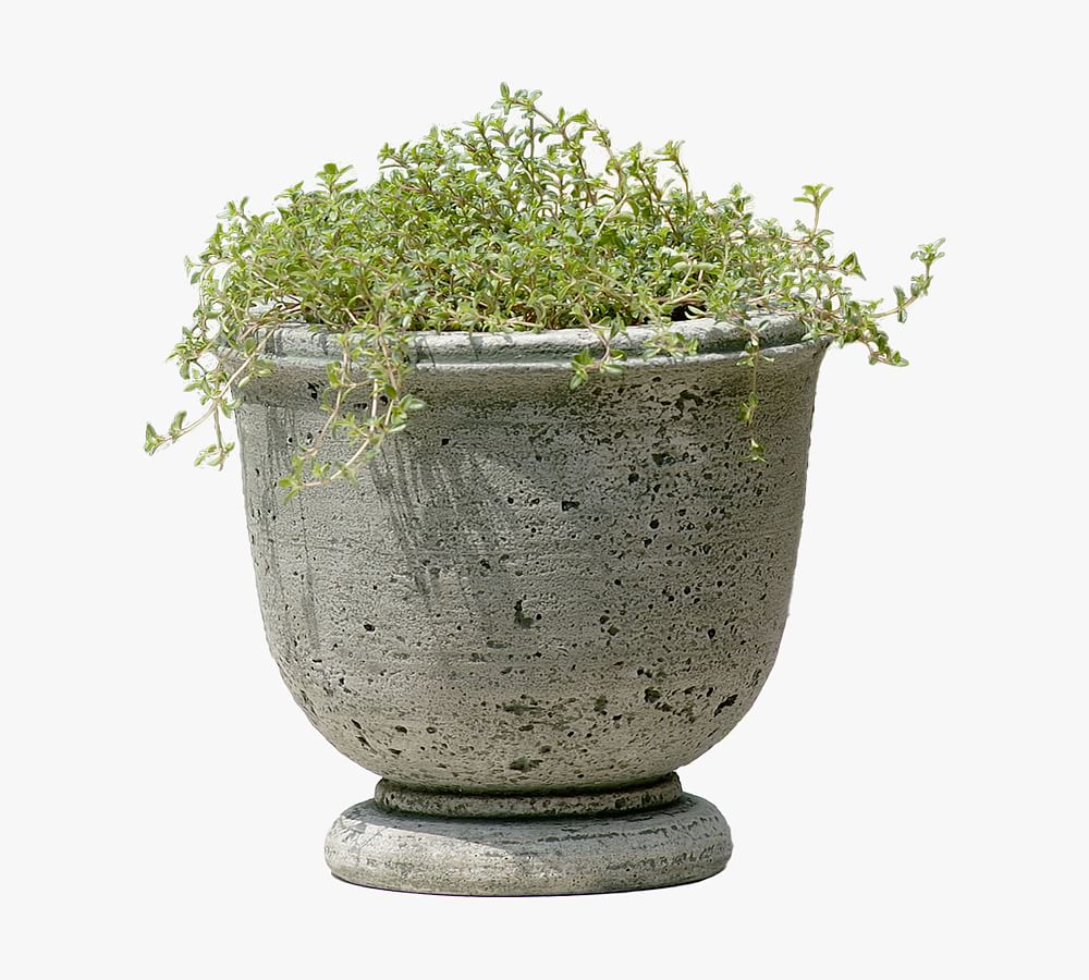Louisa Cast Stone Planter