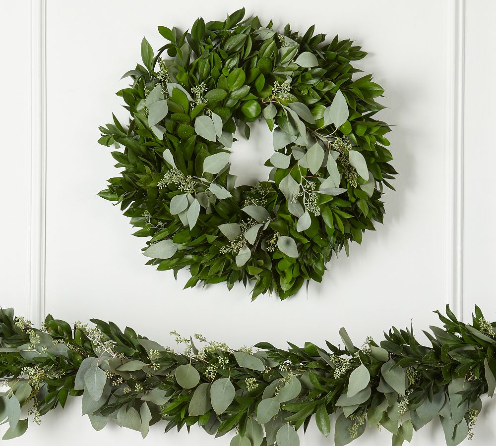 Live Ruscus &amp; Seeded Eucalyptus Wreath &amp; Garland