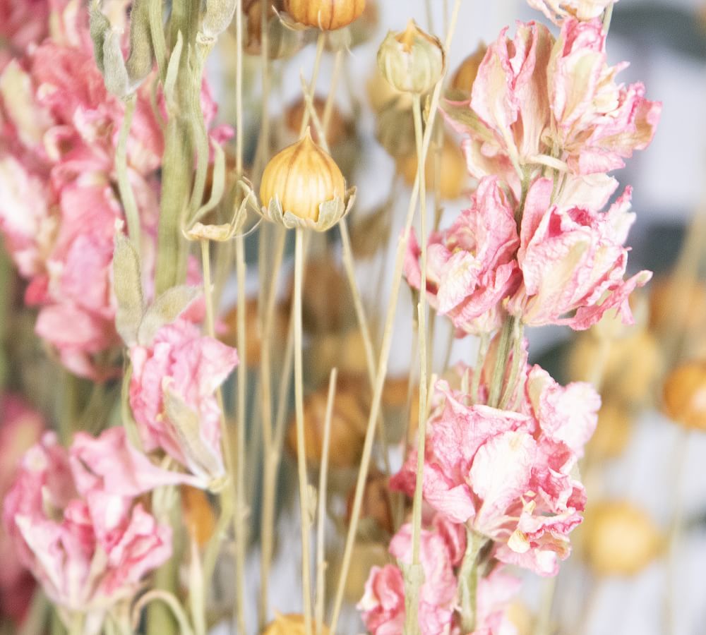 Dried Flower Bunch-Larkspur Pink