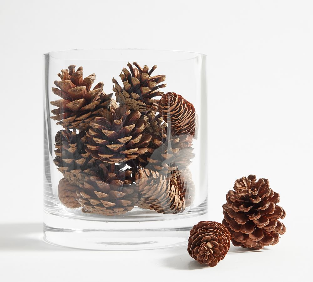 Slatkin & Co Dry Snow Pinecone Vase Filler w Pine Oil Bath Body