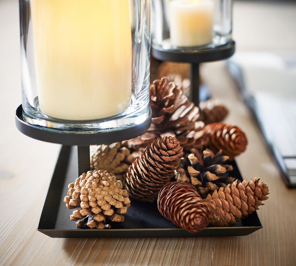 Use pinecones as a vase filler – helps the branches to stay in