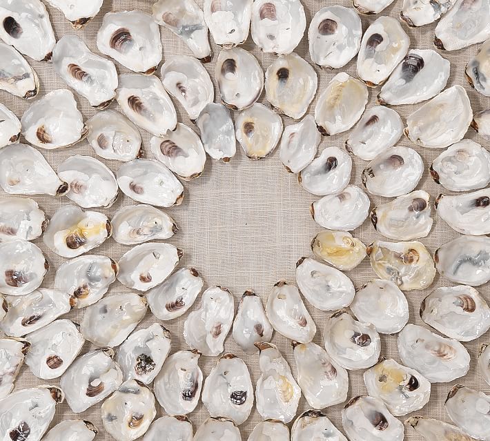 Large Oyster Shell Planter,Oyster Art, Florida Collected Oyster Shells,  Oyster Shell Bathroom Art,Oyster Collection