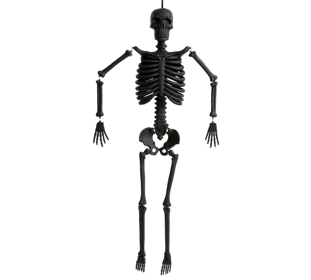 Mr. Bones Skeleton - Black | Pottery Barn