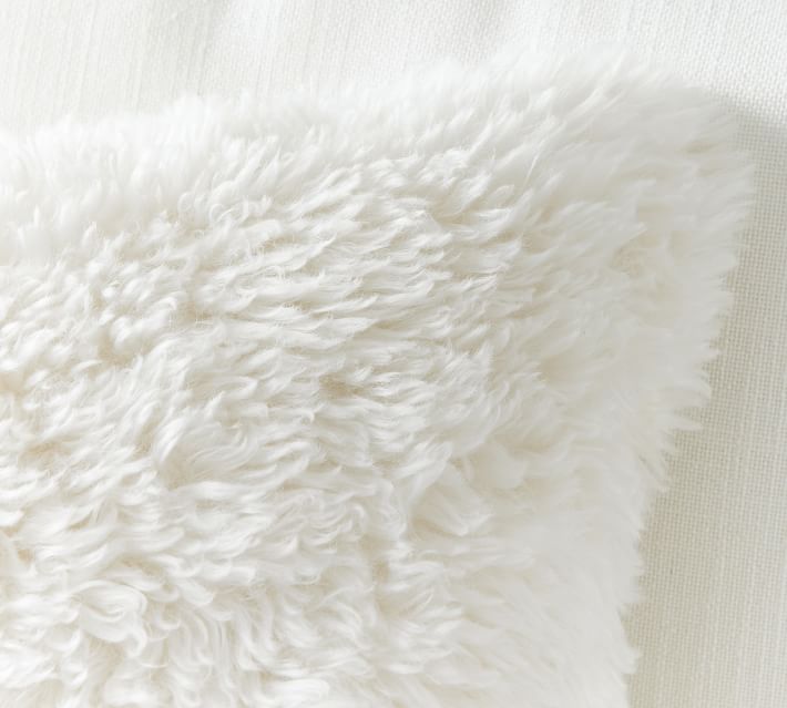 https://assets.pbimgs.com/pbimgs/ab/images/dp/wcm/202351/0010/dream-faux-fur-pillow-o.jpg