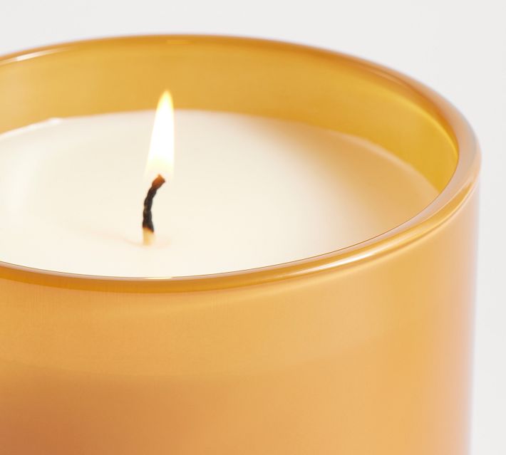 Harvest Spice Tallow & Beeswax Candle