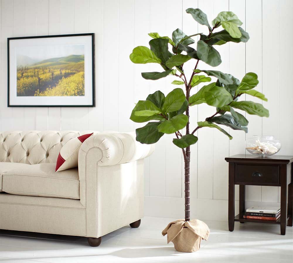 Faux Fiddle Leaf Fig Trees Pottery Barn