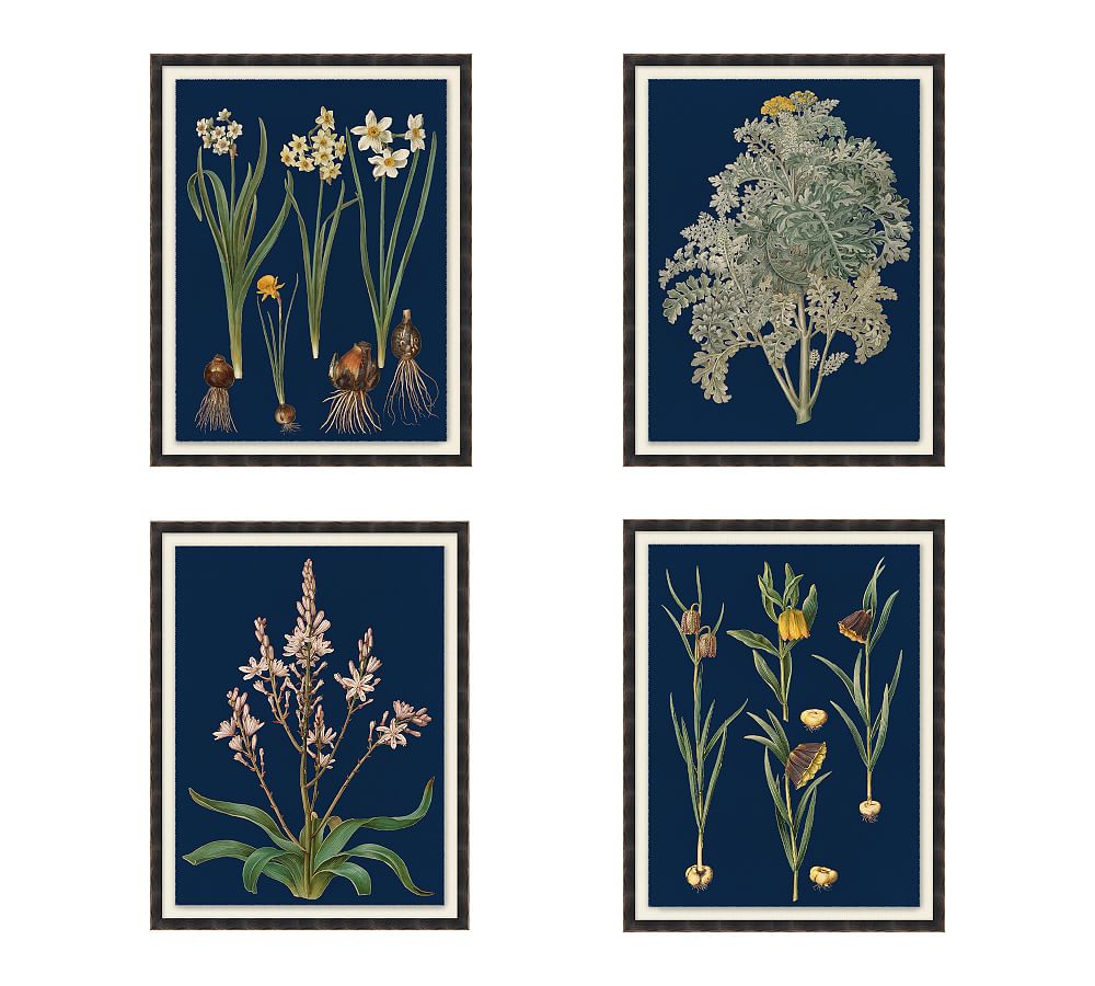 Botanical on Blue Framed Canvas