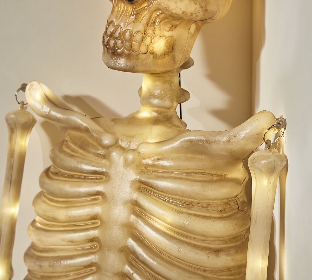 https://assets.pbimgs.com/pbimgs/ab/images/dp/wcm/202352/0545/light-up-mr-bones-l.jpg