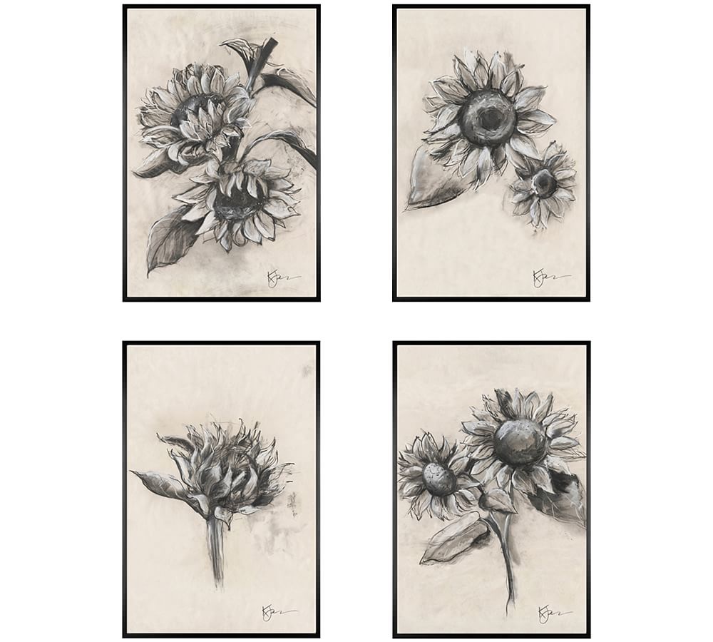 Charcoal Sunflower Sketch by The Artists Studio