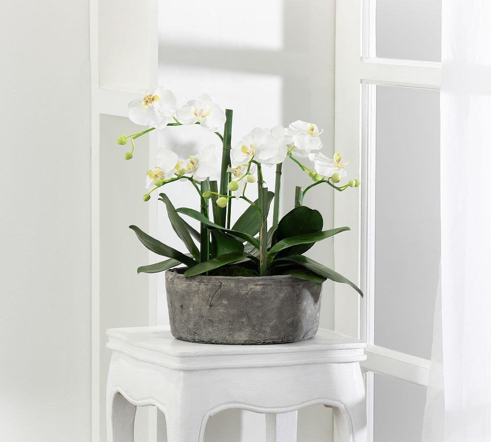 Faux Orchid In Clay Pot