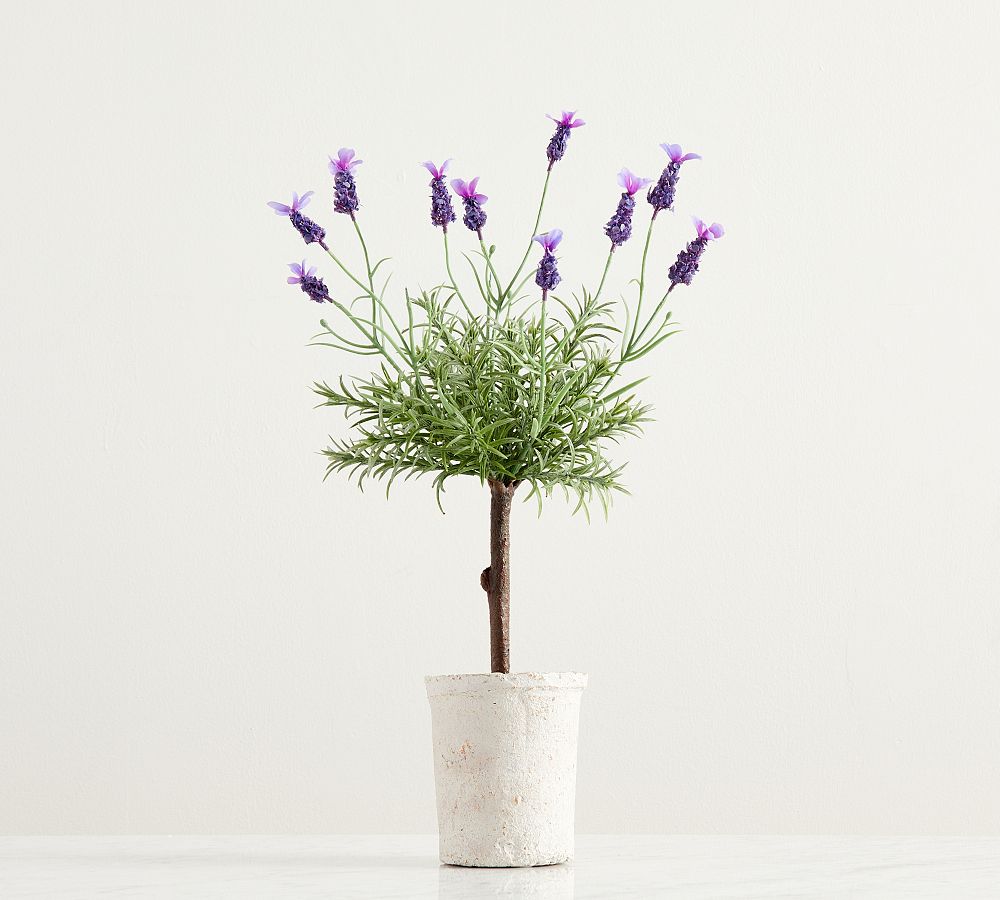 Monique Lhuillier Faux Lavender Potted Topiary Pottery Barn