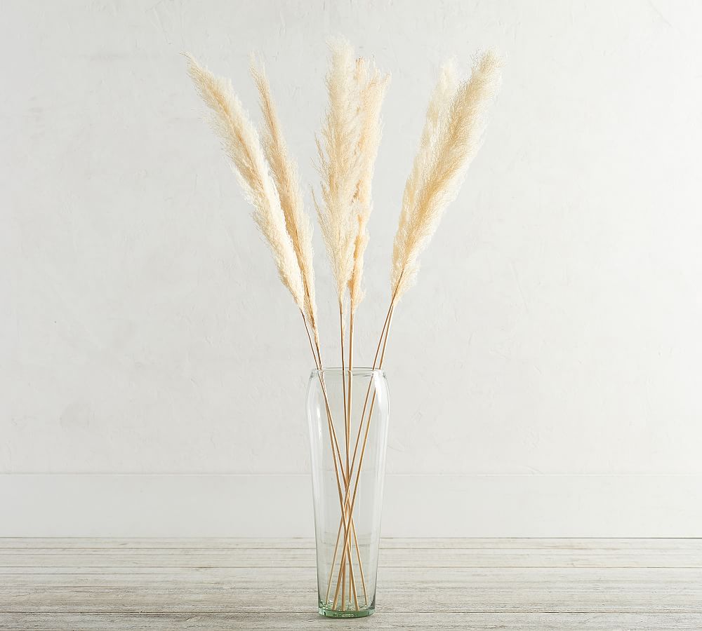 Dried Pampas Grass Branches - Set of 3