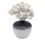 Cauliflower Coral On Reactive Glazed Vase