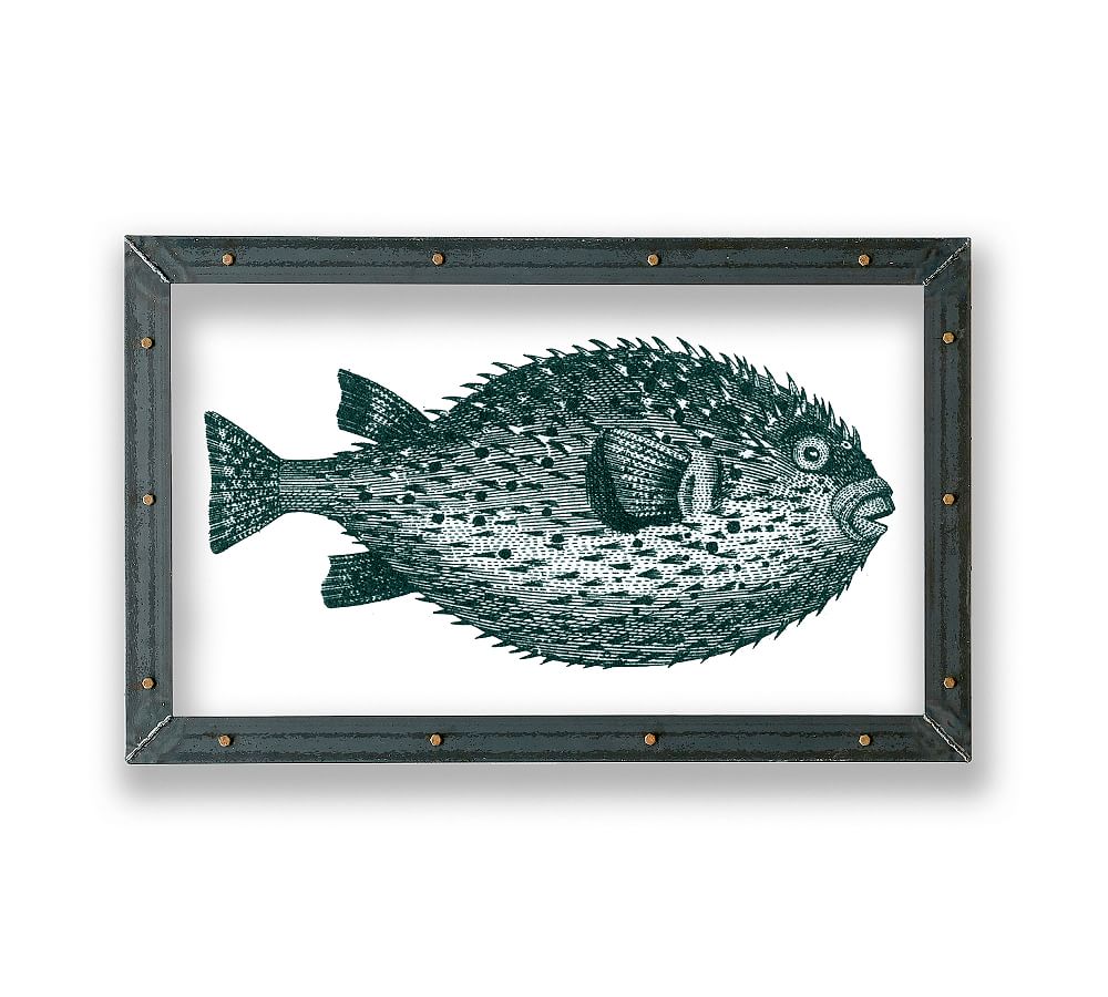 Pufferfish Framed Acrylic Print