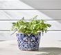 Ikat Tile Hand Painted Terracotta Outdoor Planters