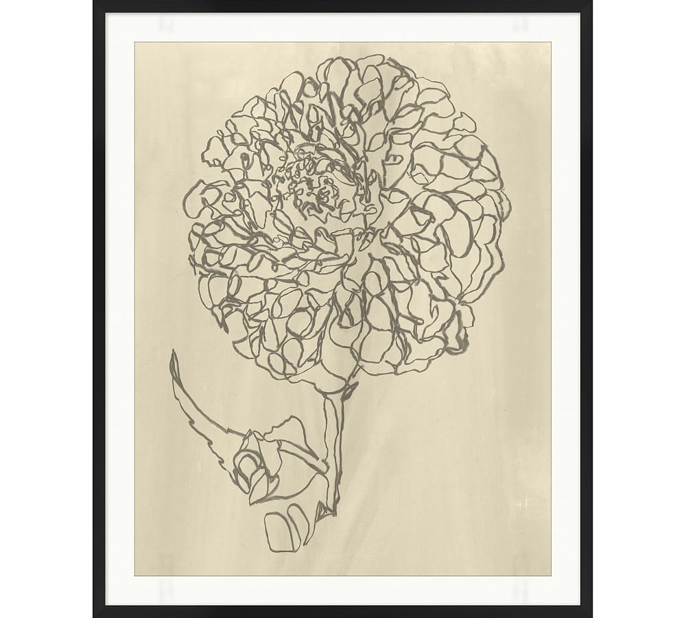 Blooming Sketch 2 Framed Print