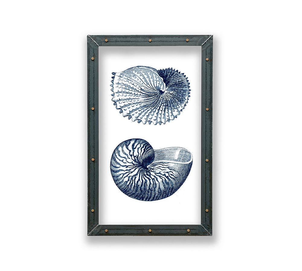 Nautilus Pair Framed Acrylic Print