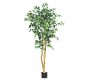 Faux Palace Style Ficus Trees
