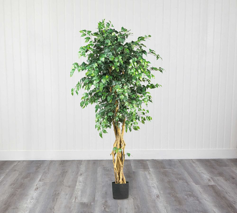 Faux Palace Style Ficus Trees