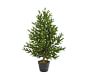Faux Olive Cone Topiary Trees