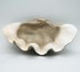 Fossilized Clam Decorative Object