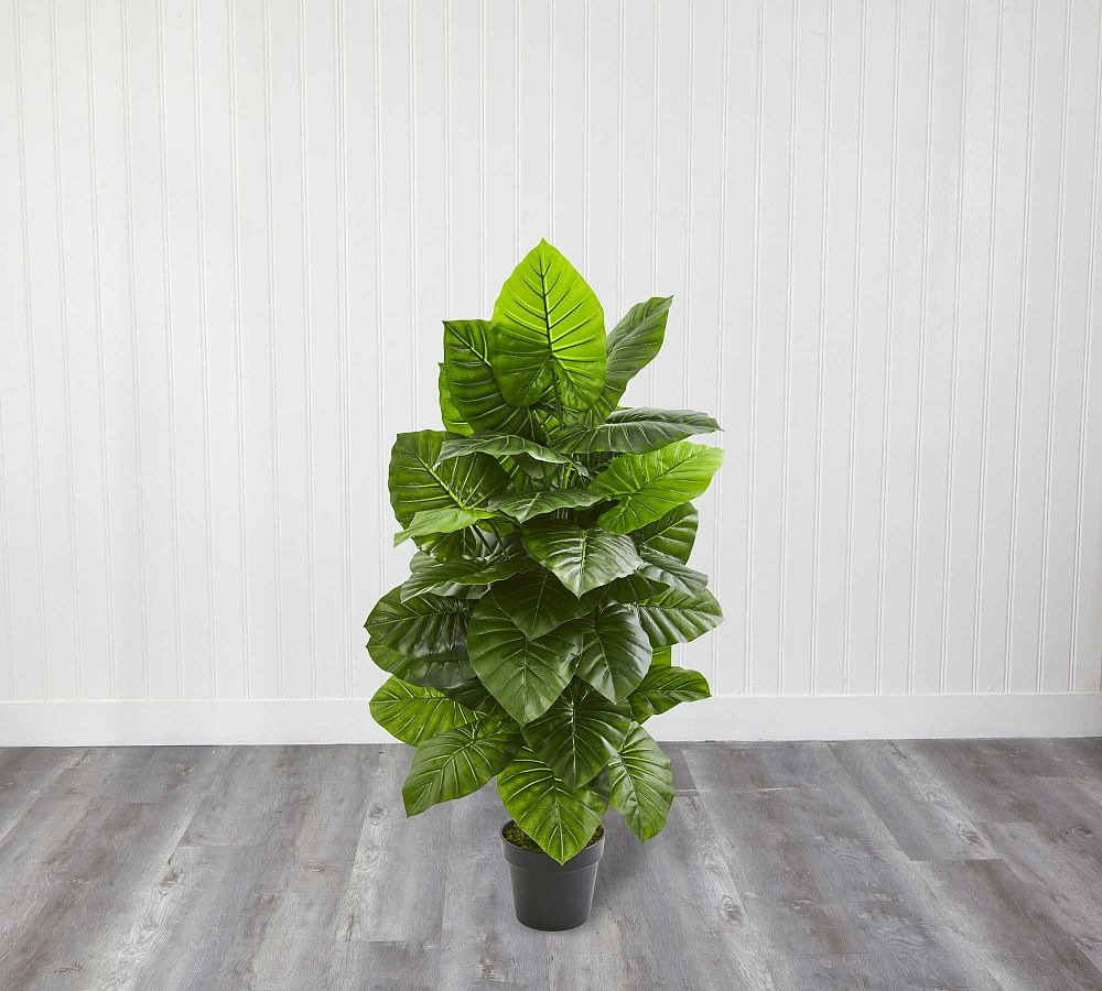 Taro Faux Plant Pottery Barn