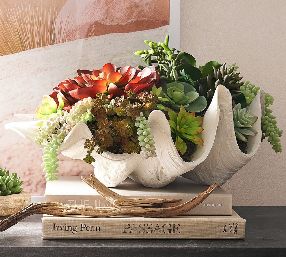 Faux Succulent in Clamshell