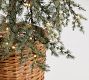 Lit Faux Draping Tree In Basket