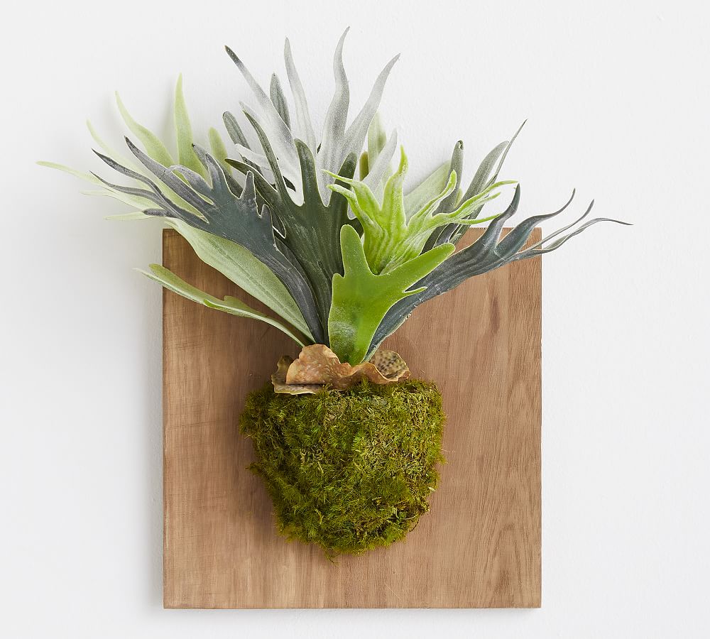 Faux Mounted Staghorn Ferns